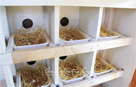 wall mounted chicken nesting boxes